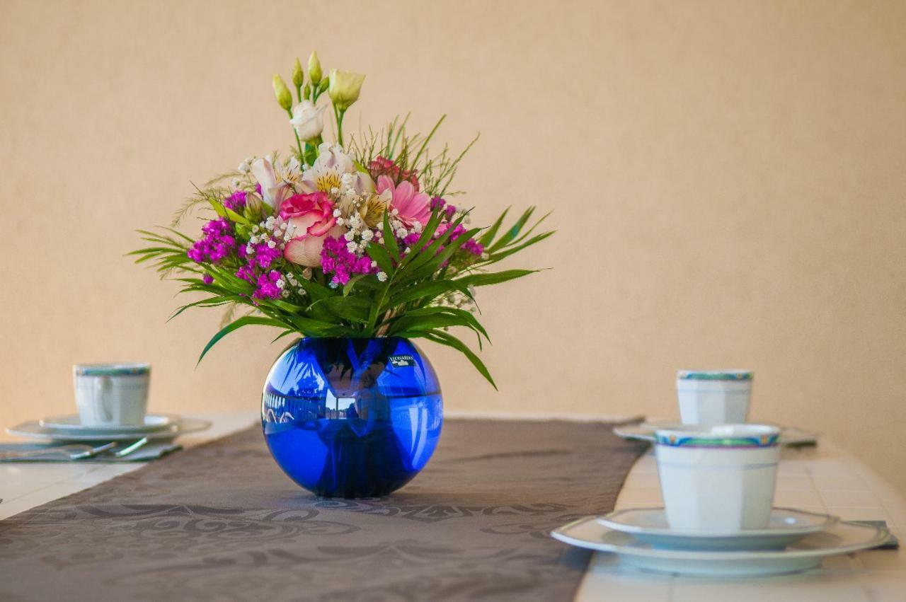 Maestral Suites شيبينيك المظهر الخارجي الصورة